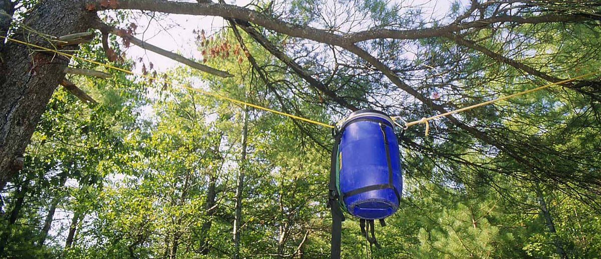 How to Make a Bear Hang: Keeping Your Food Safe from Hungry Bears