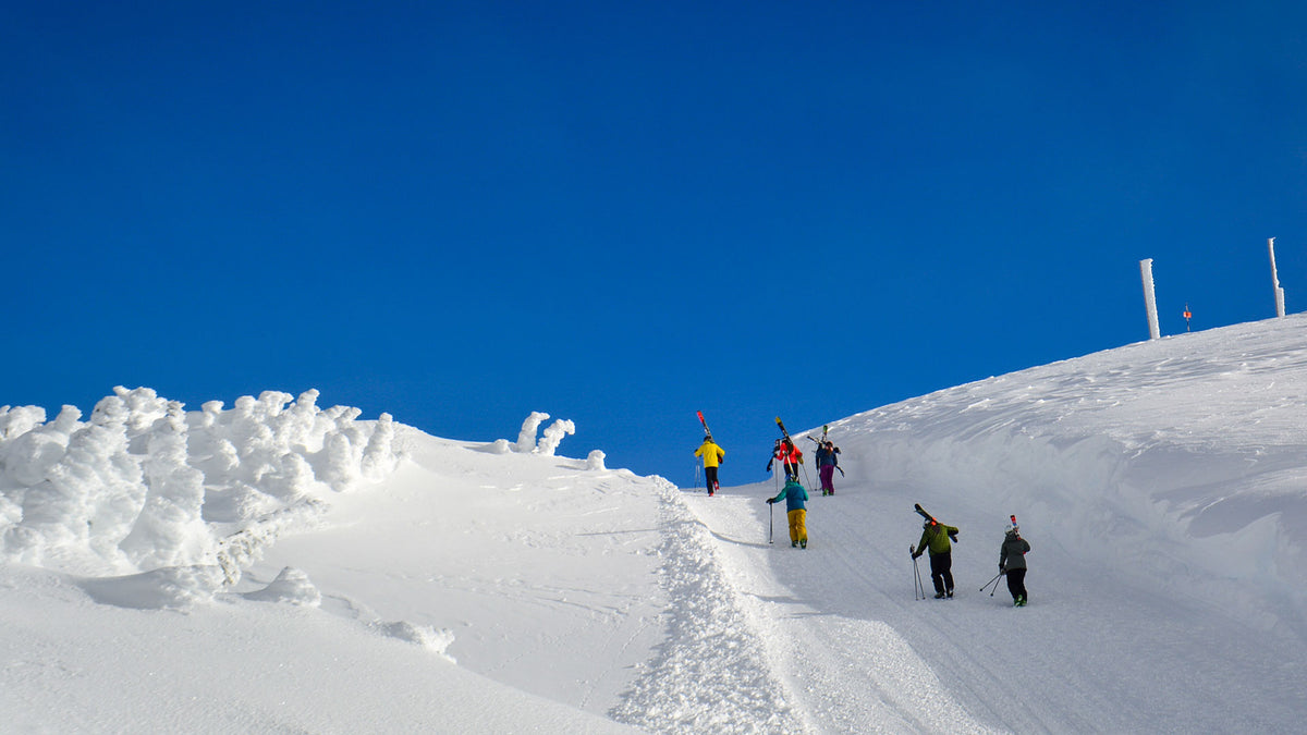 Ski Touring Essentials for Beginners