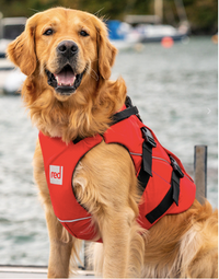 Red paddle co pfd worn on a dog