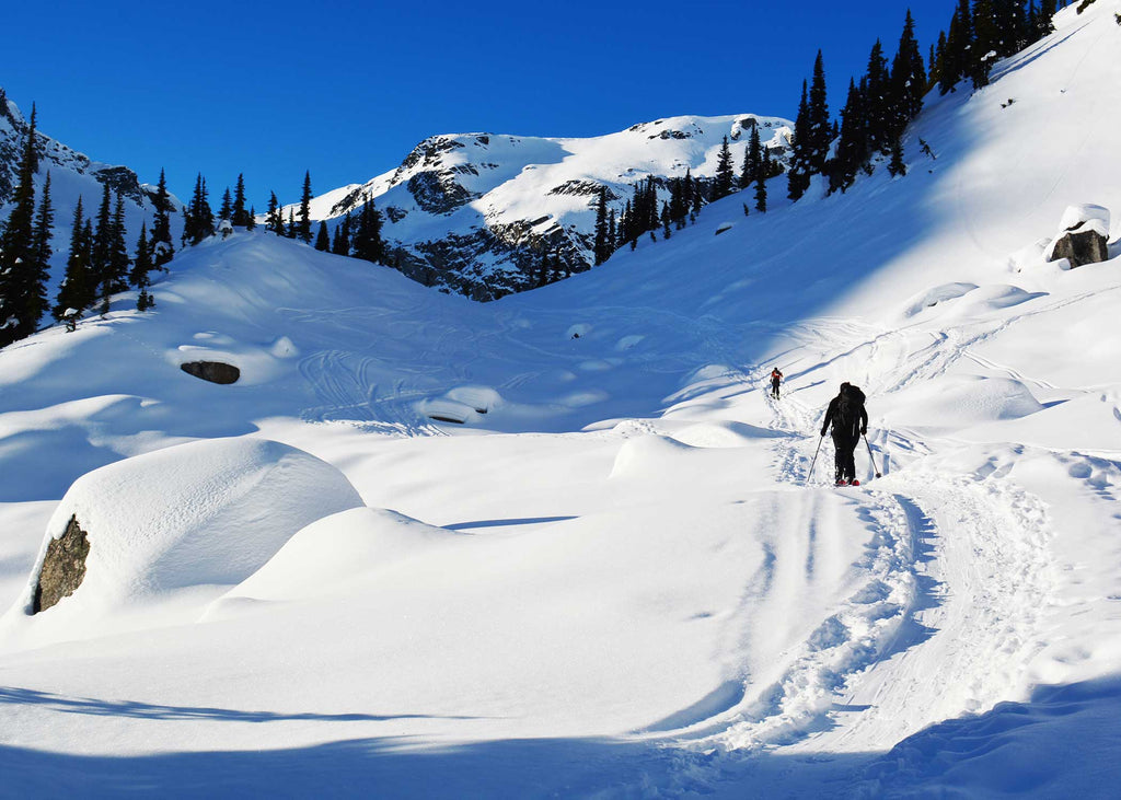Photo of two people ski touring