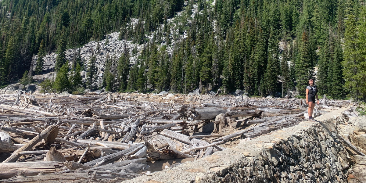 Escape to Emerald Enchantment: Your Northern California RV Adventure Awaits!